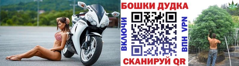  COCAIN Тбилисская