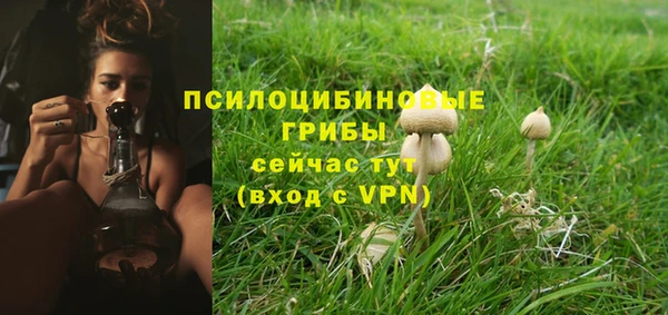 спайс Покров