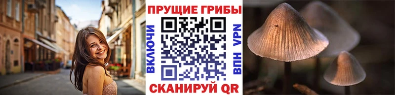 Галлюциногенные грибы MAGIC MUSHROOMS  наркотики  Тбилисская 