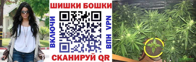 купить наркотик  Тбилисская  KRAKEN ссылка  Бошки марихуана White Widow 